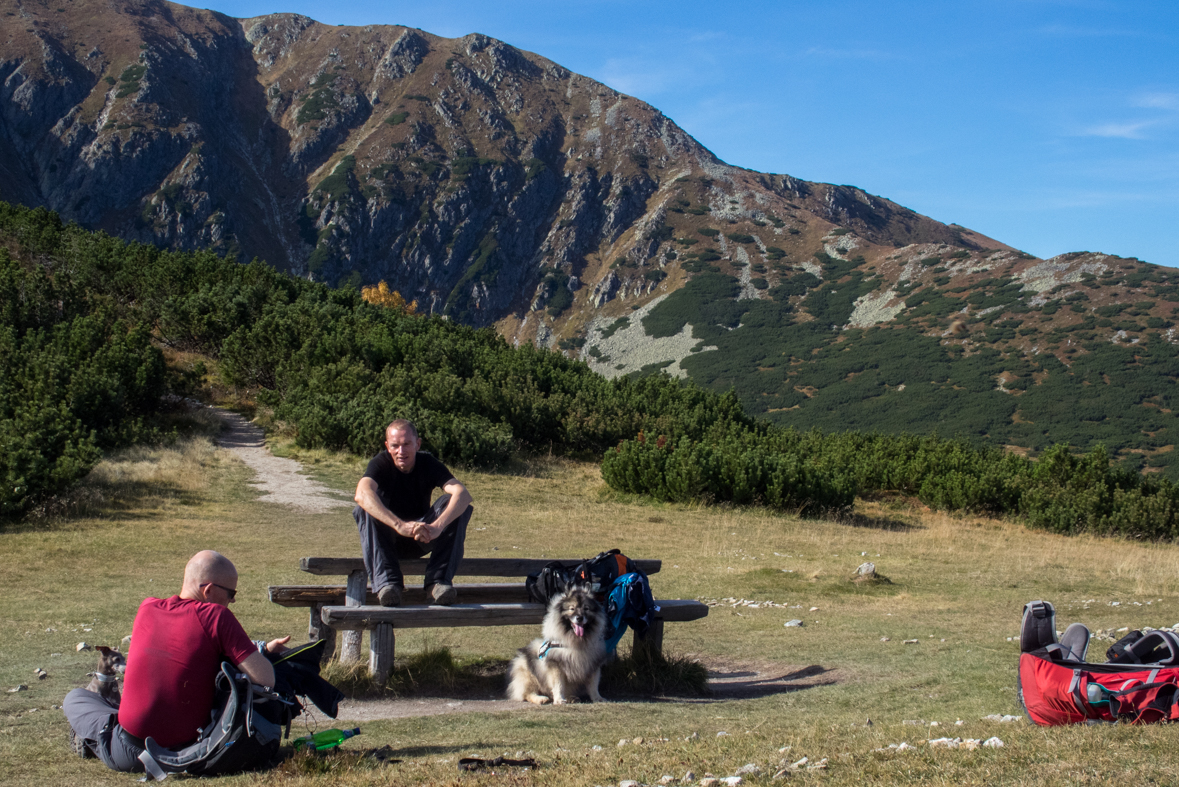 Brestová z chaty Zverovka (Západné Tatry)