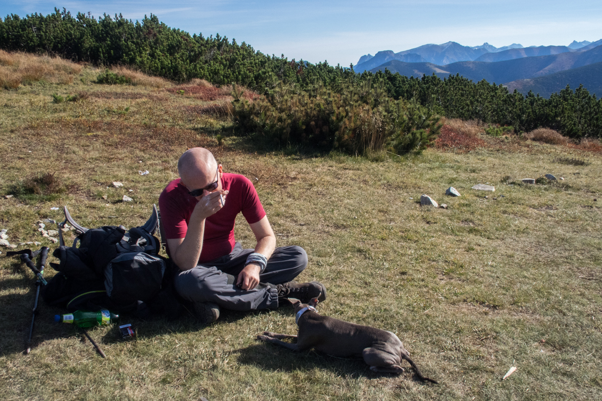 Brestová z chaty Zverovka (Západné Tatry)