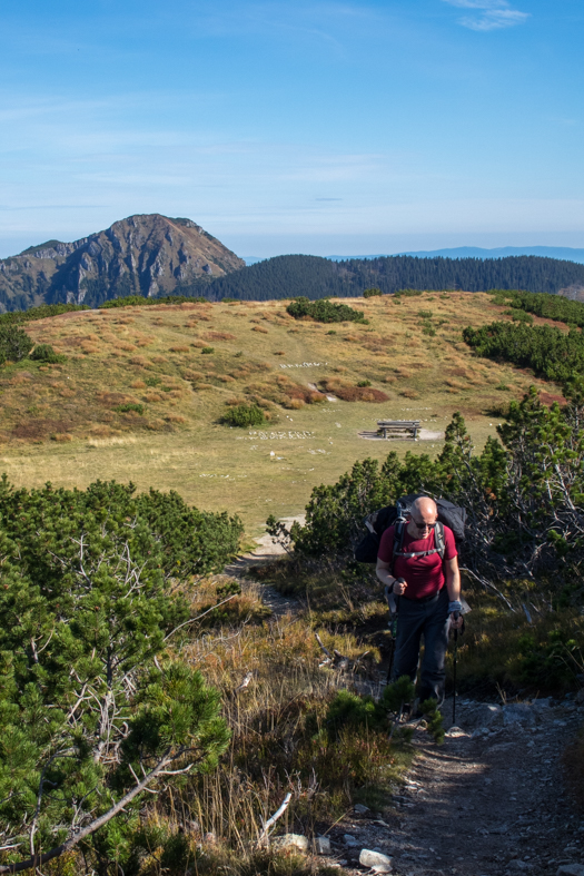 Brestová z chaty Zverovka (Západné Tatry)