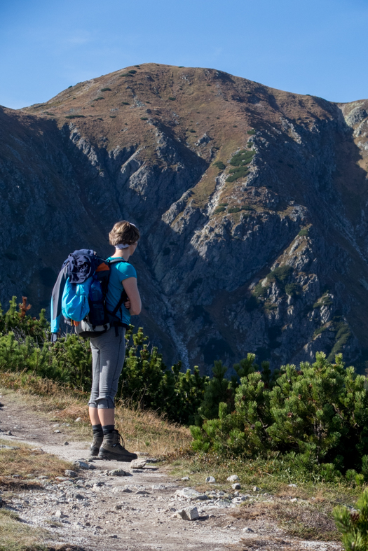 Brestová z chaty Zverovka (Západné Tatry)