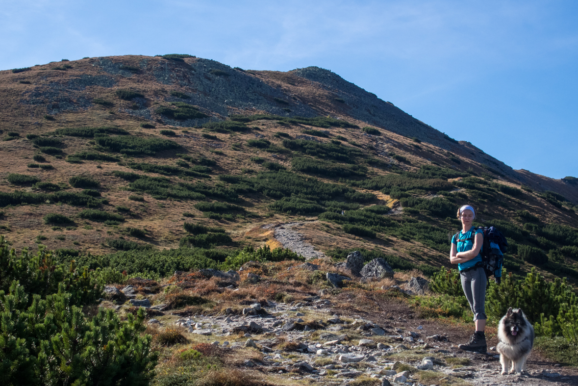 Brestová z chaty Zverovka (Západné Tatry)