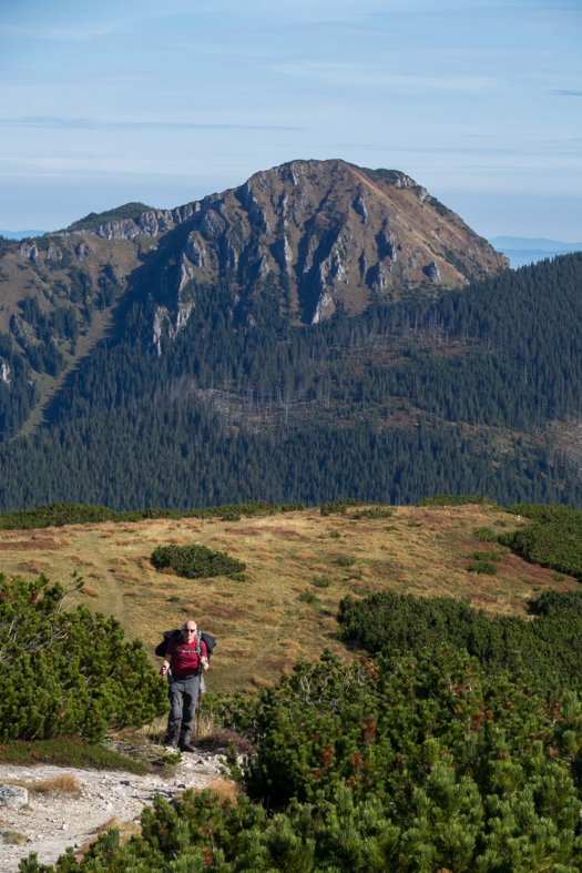 Brestová z chaty Zverovka (Západné Tatry)