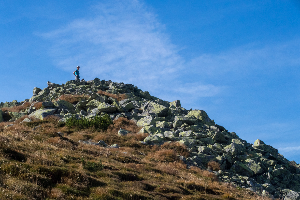 Brestová z chaty Zverovka (Západné Tatry)