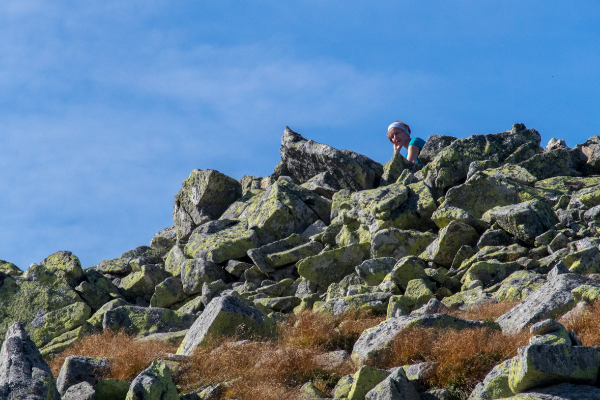 Brestová z chaty Zverovka (Západné Tatry)