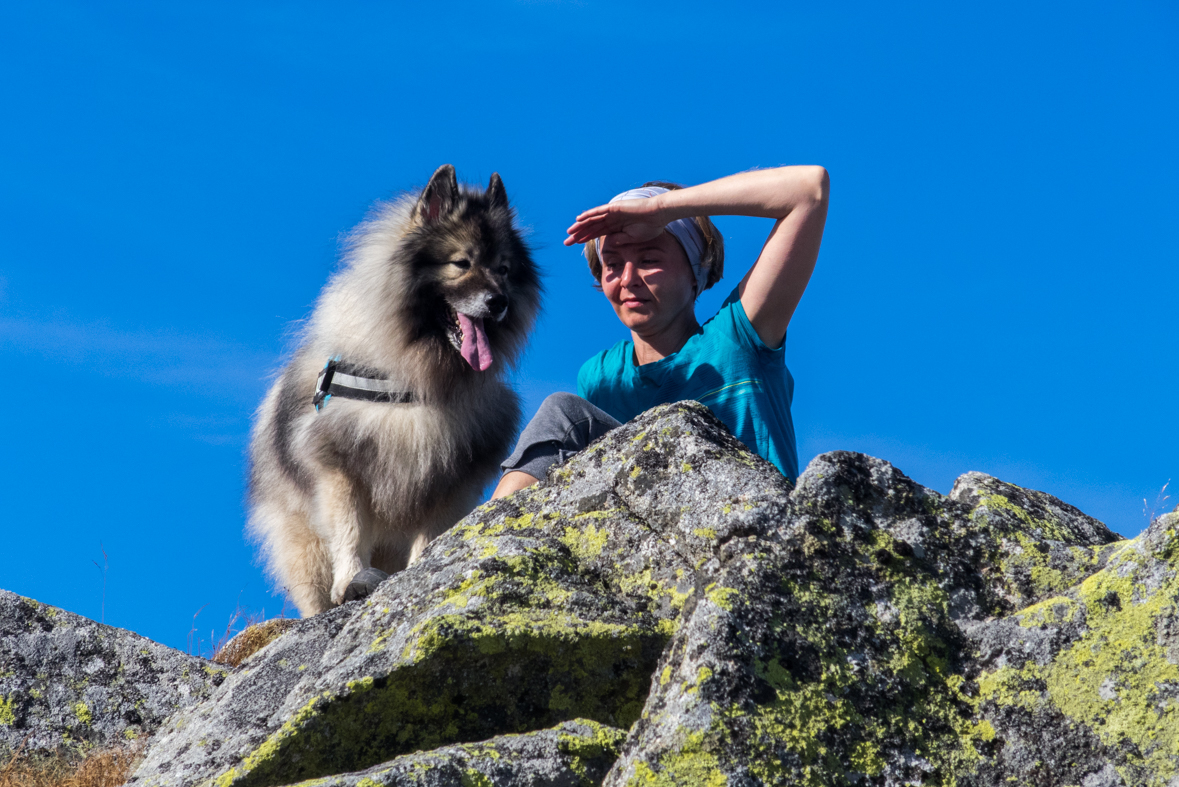 Brestová z chaty Zverovka (Západné Tatry)