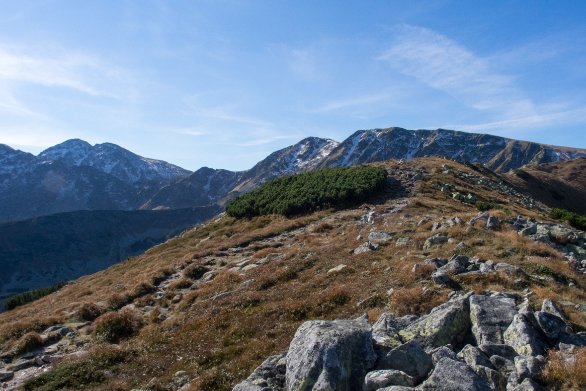 Brestová z chaty Zverovka (Západné Tatry)