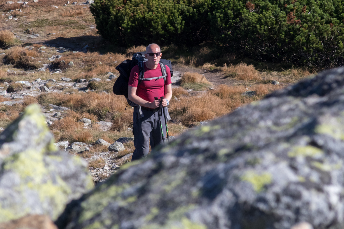 Brestová z chaty Zverovka (Západné Tatry)