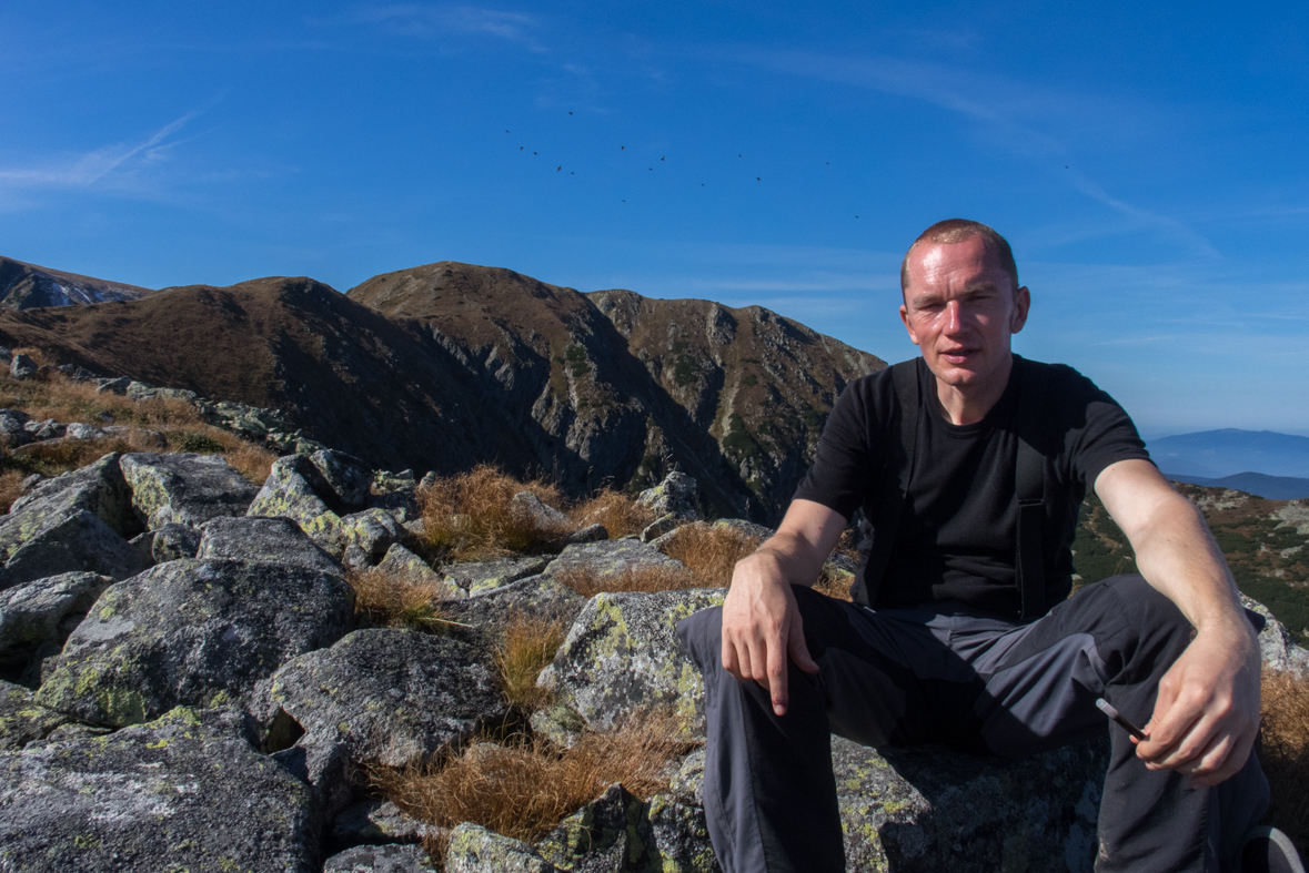 Brestová z chaty Zverovka (Západné Tatry)