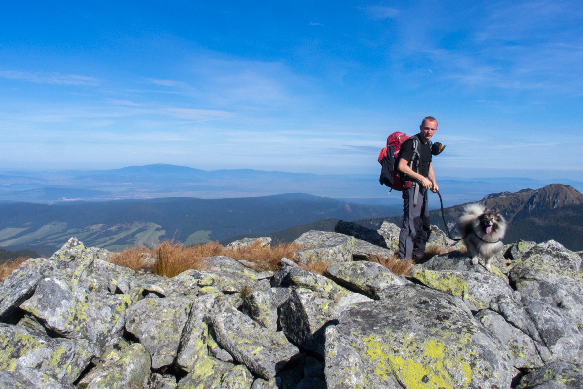 Brestová z chaty Zverovka (Západné Tatry)