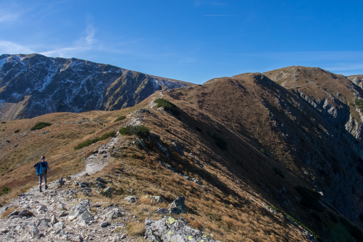 Brestová z chaty Zverovka (Západné Tatry)