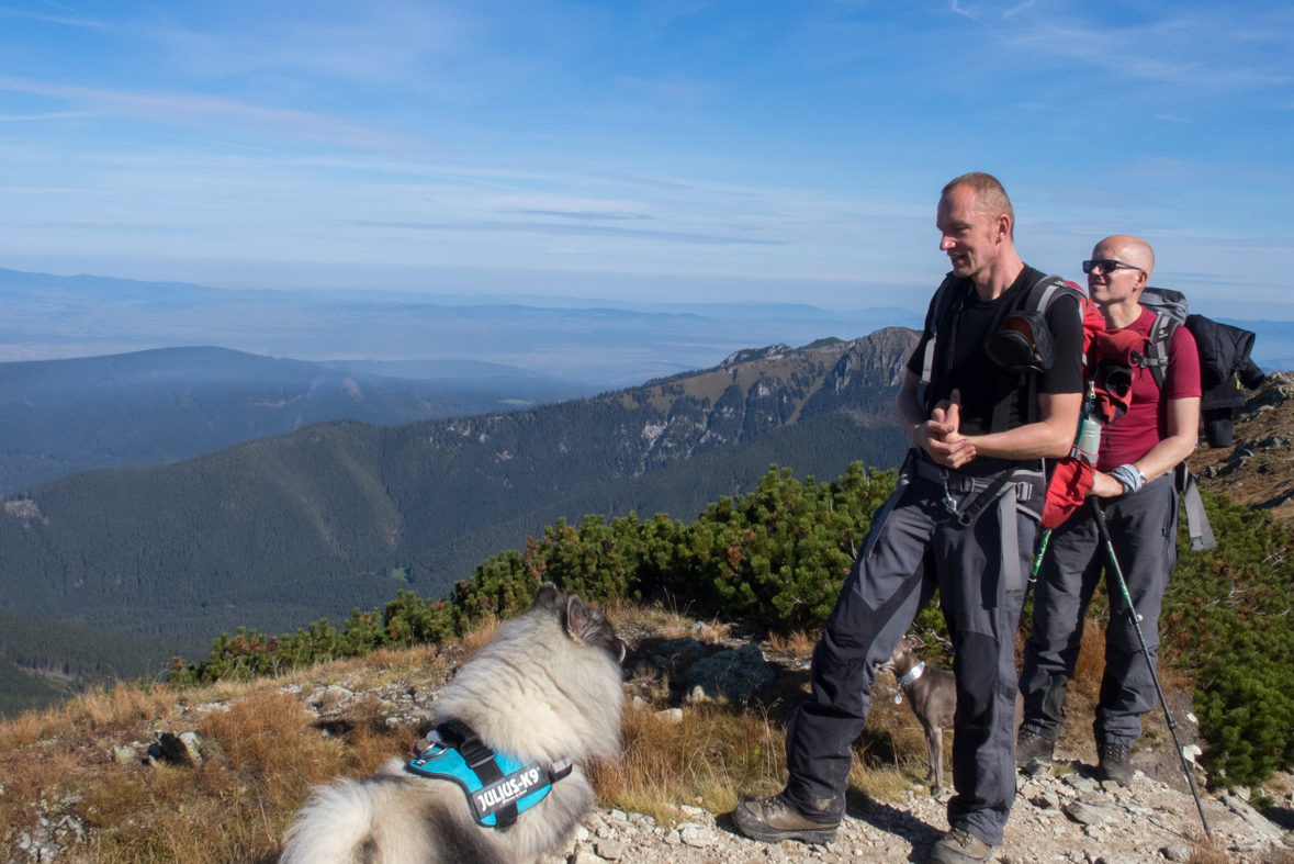 Brestová z chaty Zverovka (Západné Tatry)