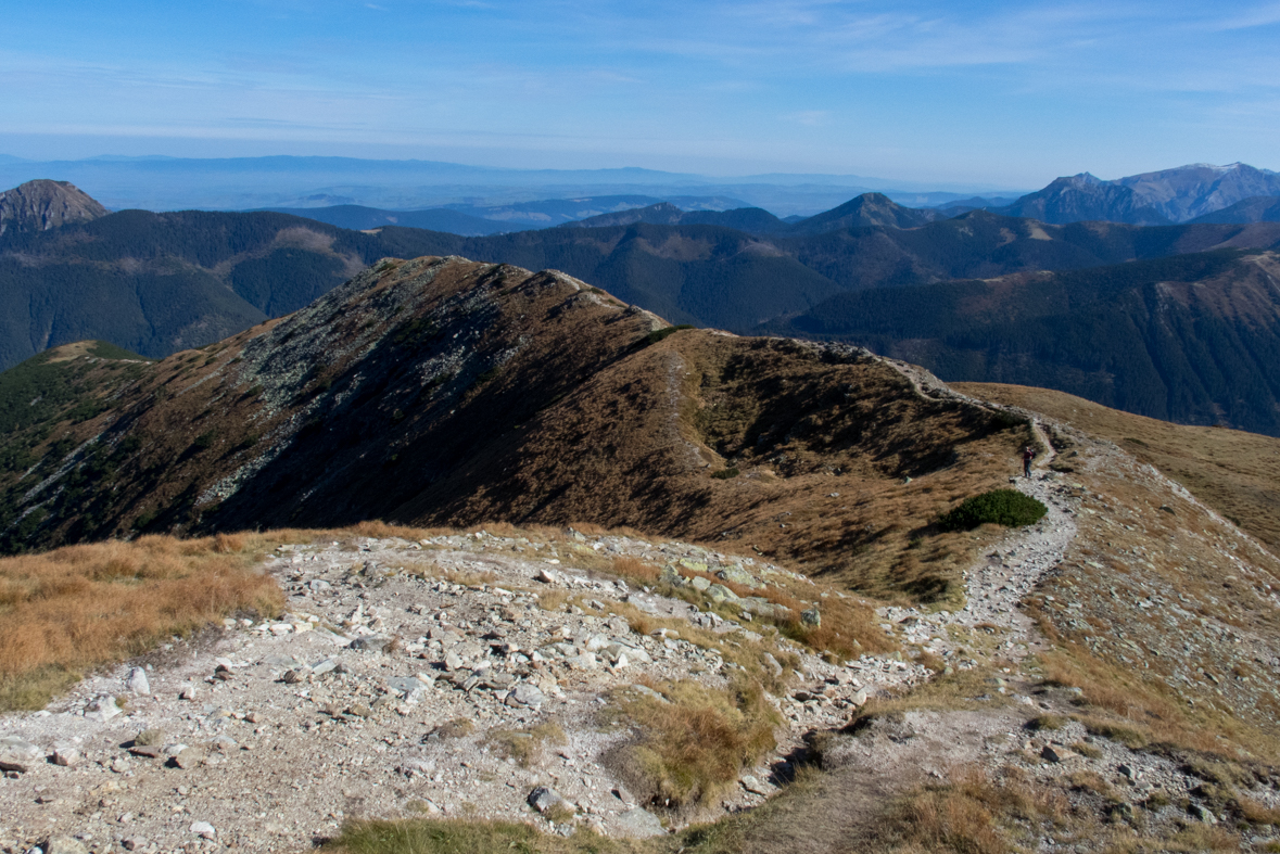 Brestová z chaty Zverovka (Západné Tatry)