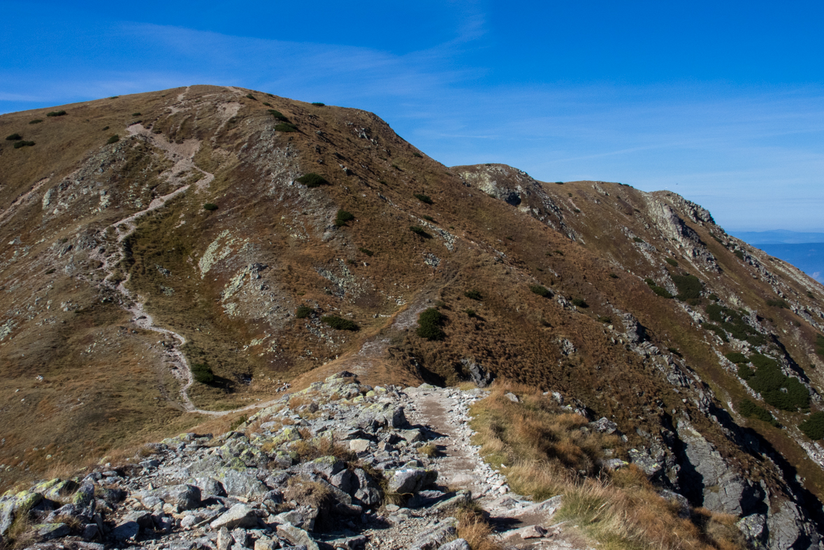 Brestová z chaty Zverovka (Západné Tatry)