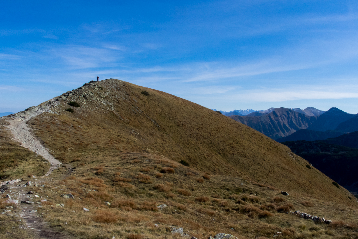 Brestová z chaty Zverovka (Západné Tatry)