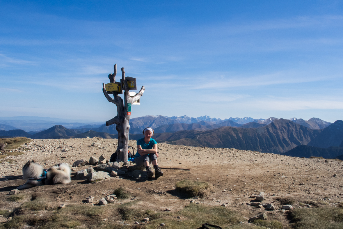 Brestová z chaty Zverovka (Západné Tatry)