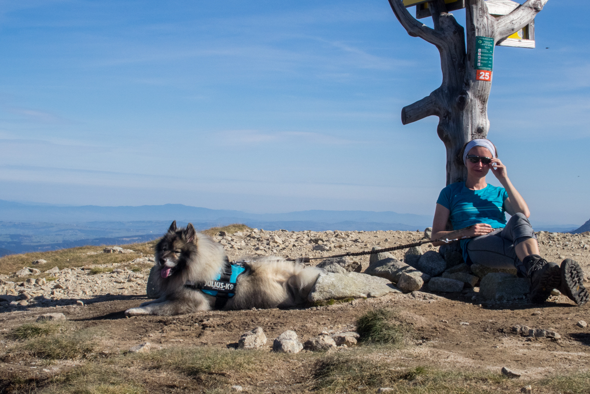 Brestová z chaty Zverovka (Západné Tatry)