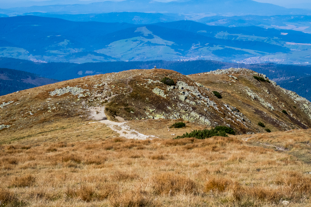 Brestová z chaty Zverovka (Západné Tatry)