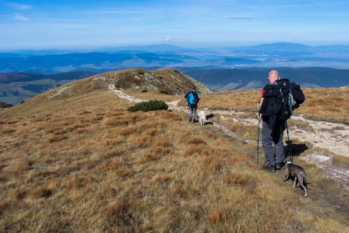 Brestová z chaty Zverovka (Západné Tatry)