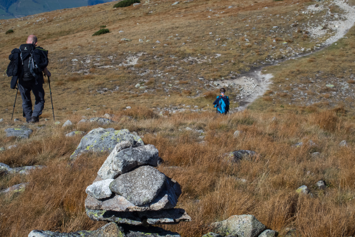 Brestová z chaty Zverovka (Západné Tatry)