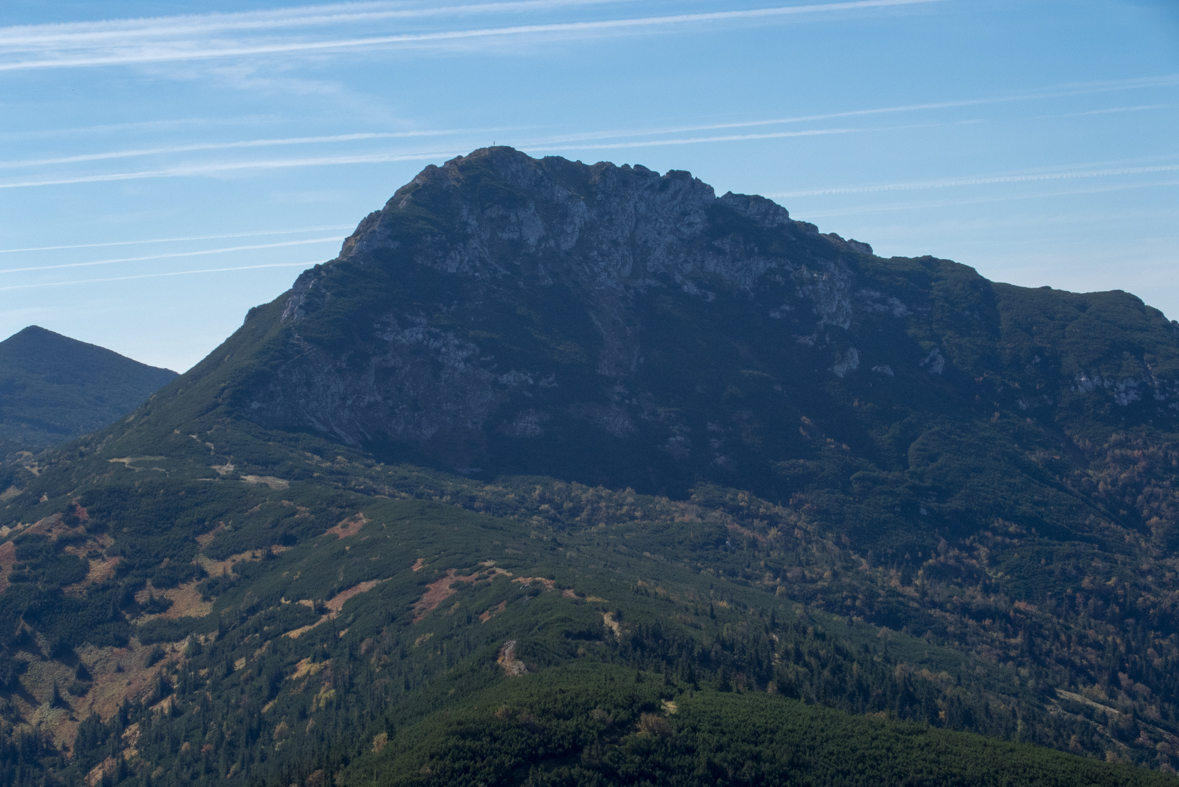 Brestová z chaty Zverovka (Západné Tatry)