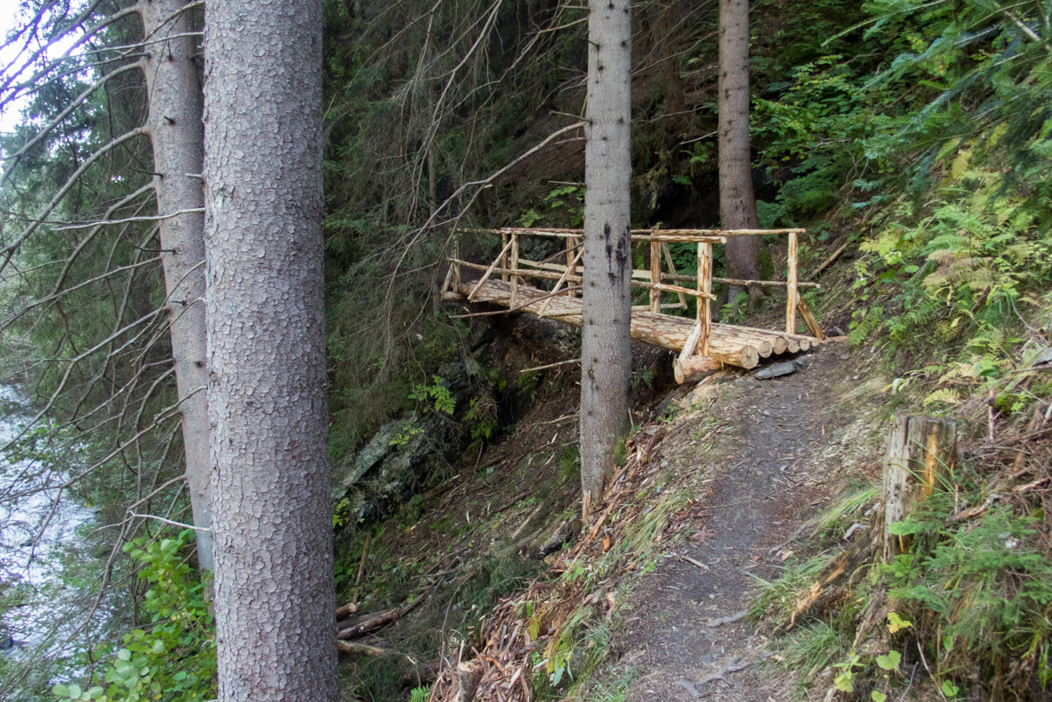 Brestová z chaty Zverovka (Západné Tatry)