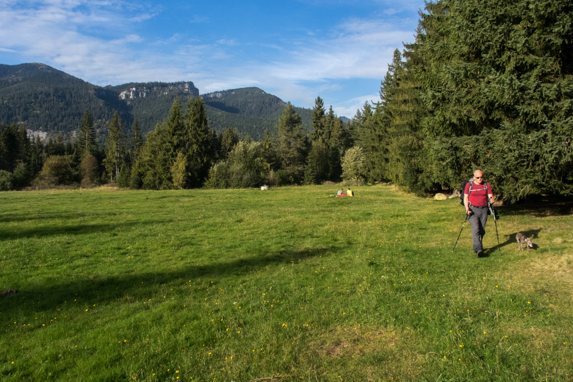 Brestová z chaty Zverovka (Západné Tatry)