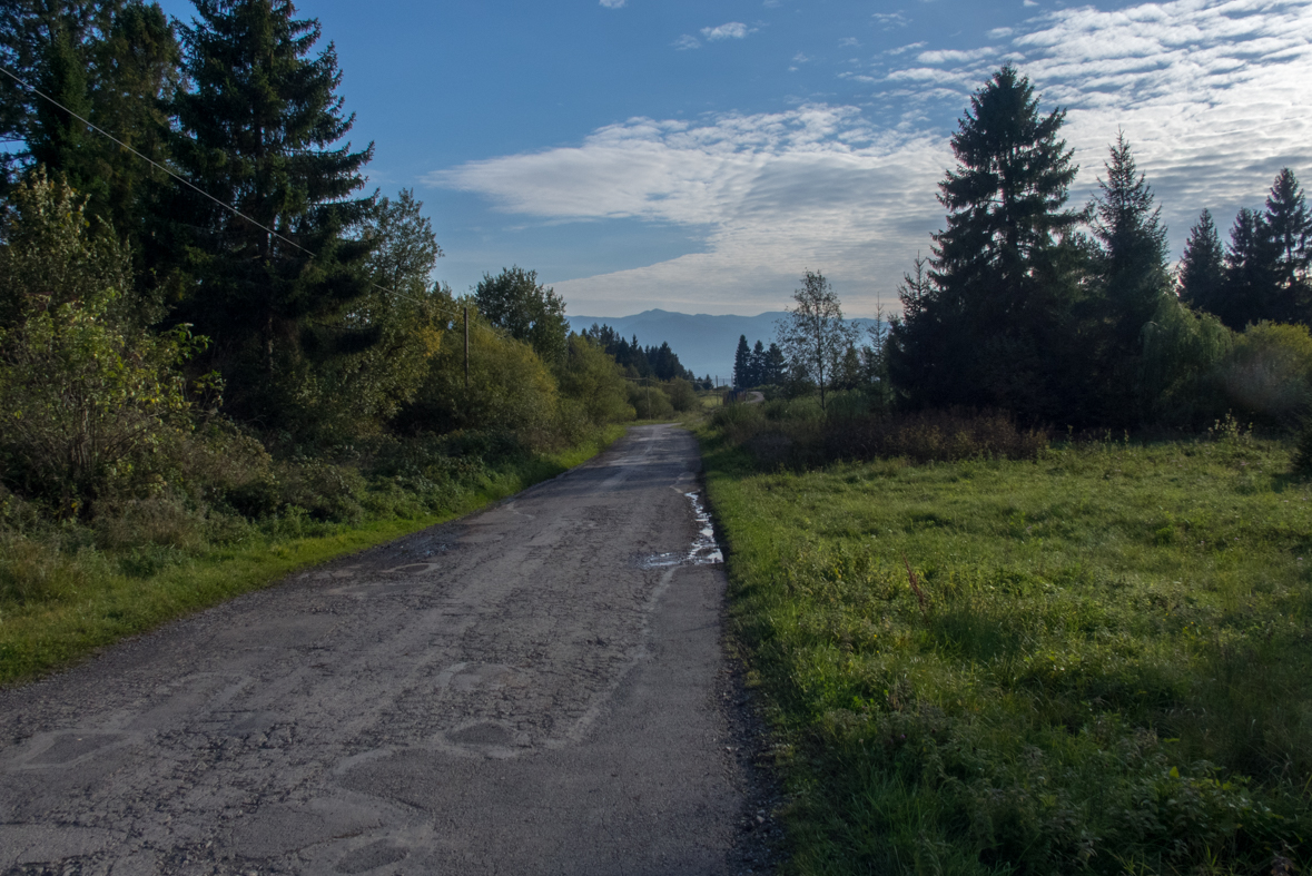 Brestová z chaty Zverovka (Západné Tatry)