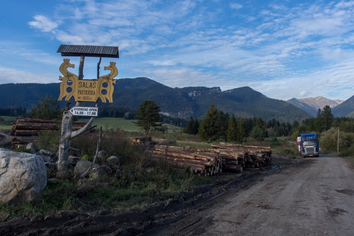 Brestová z chaty Zverovka (Západné Tatry)