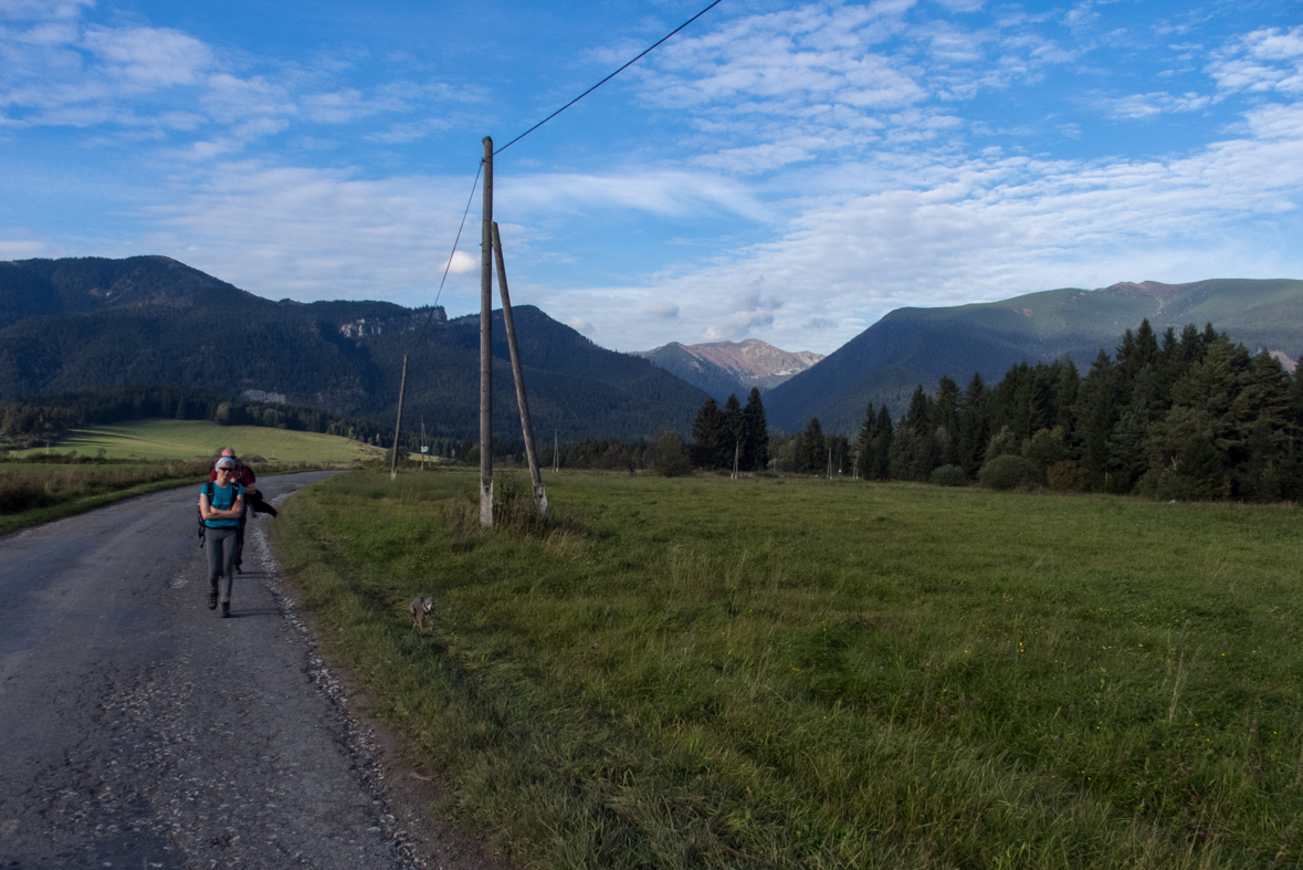 Brestová z chaty Zverovka (Západné Tatry)