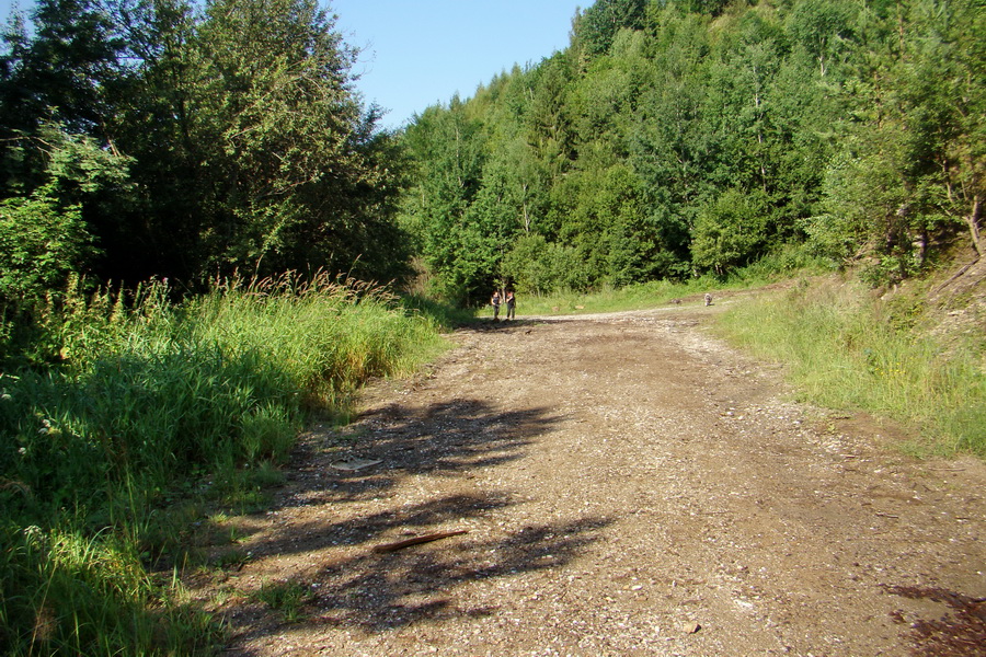 Bukovec a Vysoký vŕšok zo Švedlára (Volovské vrchy)