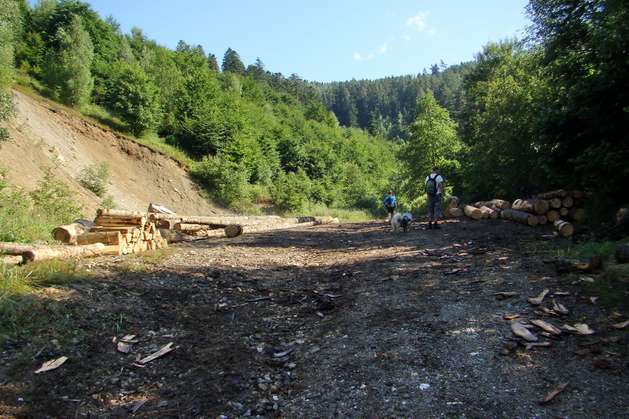 Bukovec a Vysoký vŕšok zo Švedlára (Volovské vrchy)