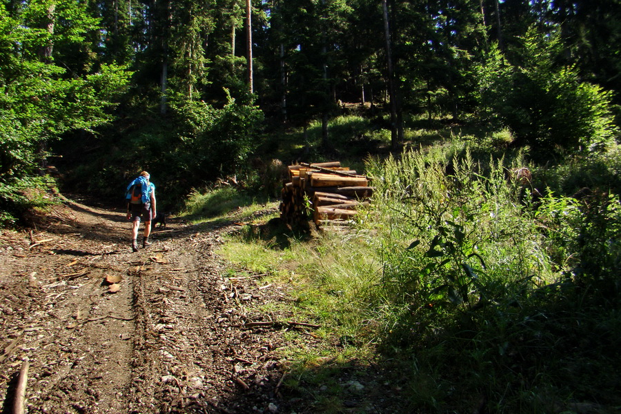 Bukovec a Vysoký vŕšok zo Švedlára (Volovské vrchy)