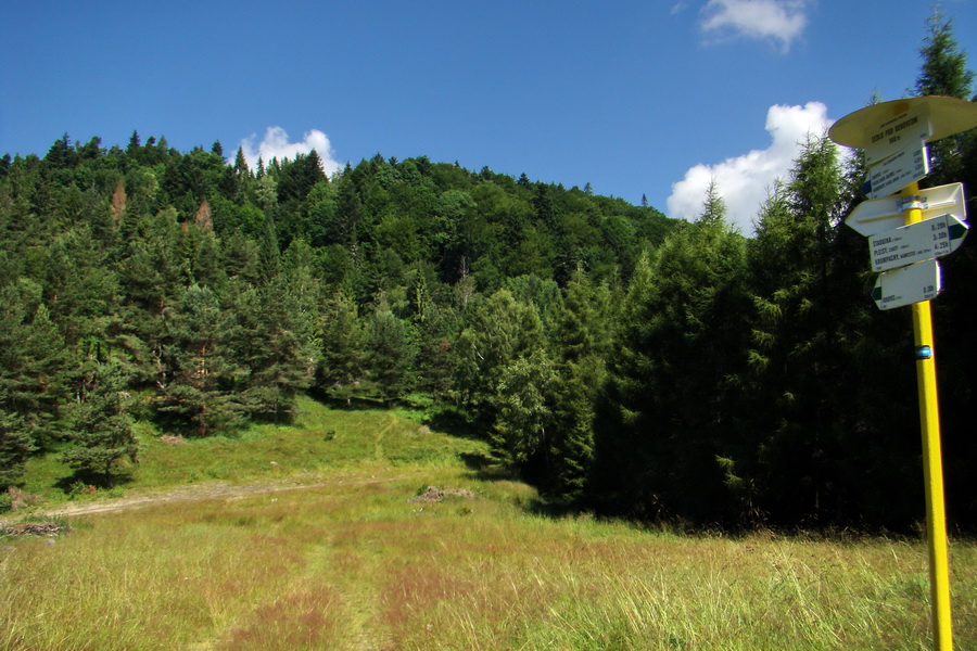 Bukovec a Vysoký vŕšok zo Švedlára (Volovské vrchy)