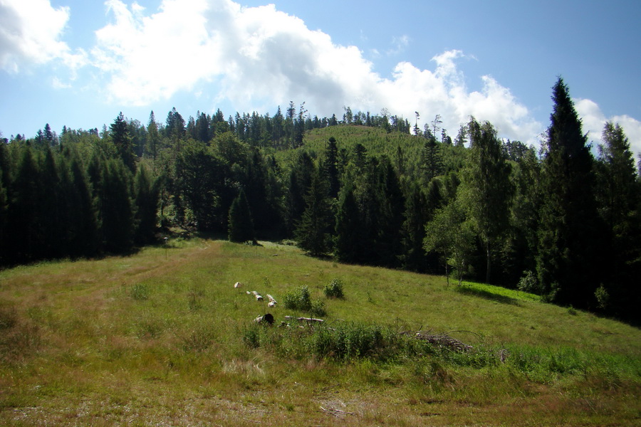 Bukovec a Vysoký vŕšok zo Švedlára (Volovské vrchy)