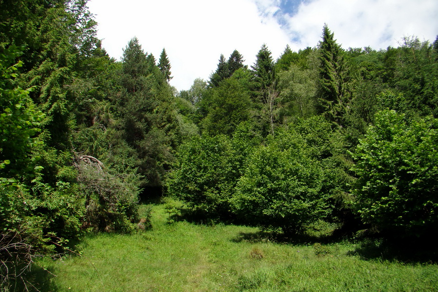 Bukovec a Vysoký vŕšok zo Švedlára (Volovské vrchy)