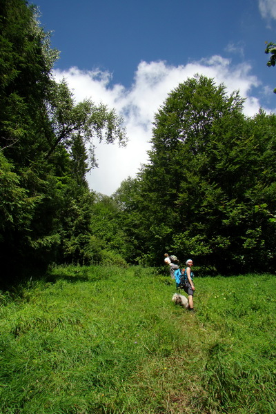 Bukovec a Vysoký vŕšok zo Švedlára (Volovské vrchy)