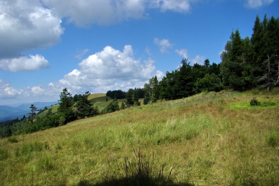 Bukovec a Vysoký vŕšok zo Švedlára (Volovské vrchy)