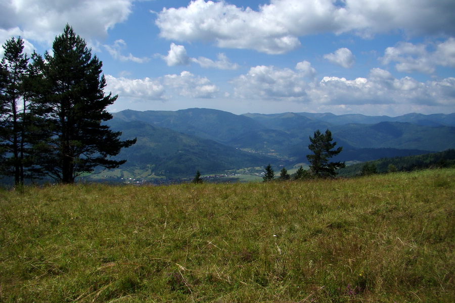 Bukovec a Vysoký vŕšok zo Švedlára (Volovské vrchy)