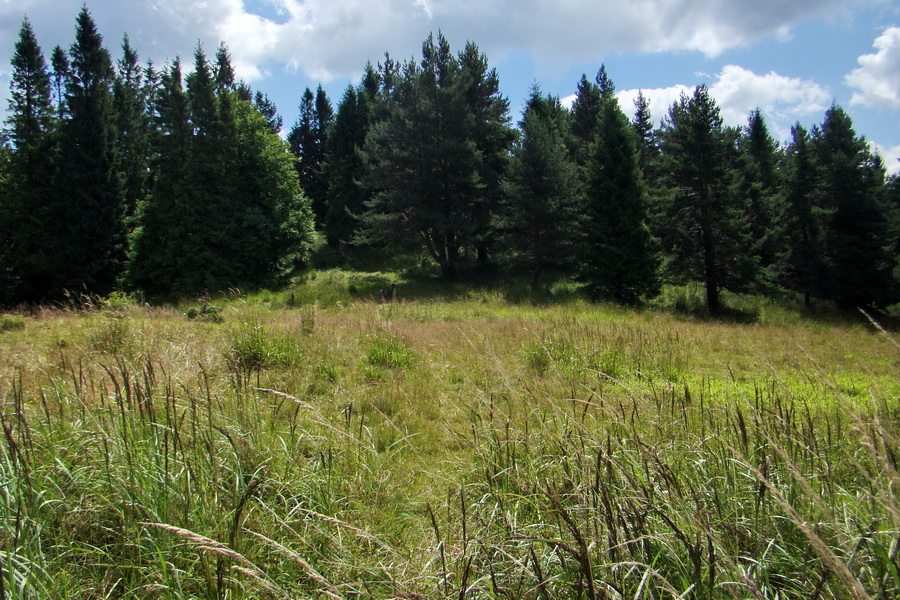 Bukovec a Vysoký vŕšok zo Švedlára (Volovské vrchy)