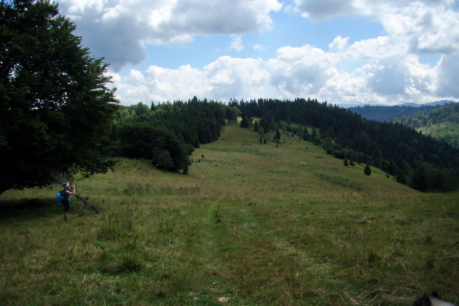 Bukovec a Vysoký vŕšok zo Švedlára (Volovské vrchy)