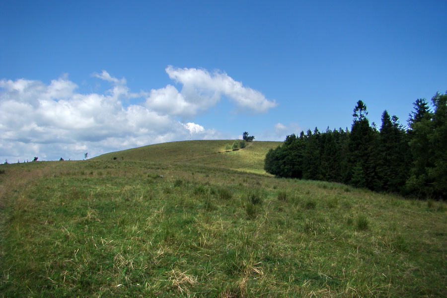 Bukovec a Vysoký vŕšok zo Švedlára (Volovské vrchy)