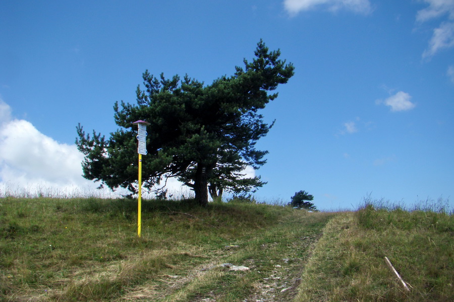 Bukovec a Vysoký vŕšok zo Švedlára (Volovské vrchy)