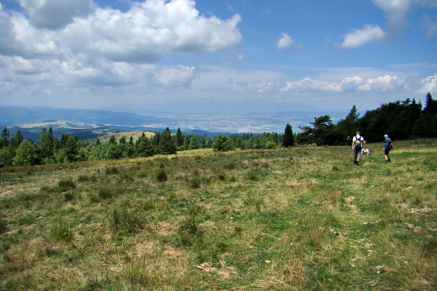 Bukovec a Vysoký vŕšok zo Švedlára (Volovské vrchy)