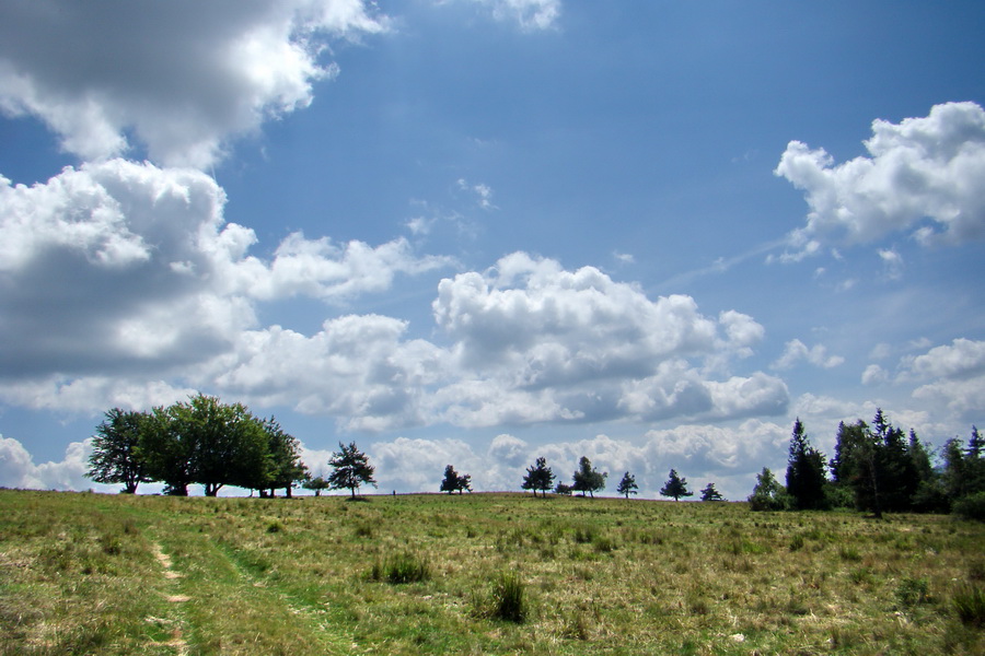 Bukovec a Vysoký vŕšok zo Švedlára (Volovské vrchy)