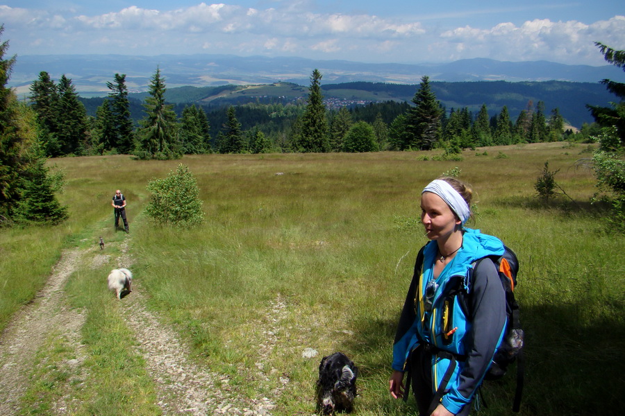 Bukovec a Vysoký vŕšok zo Švedlára (Volovské vrchy)