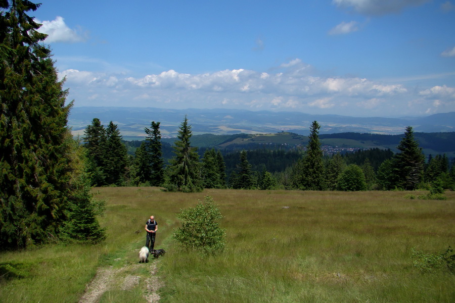 Bukovec a Vysoký vŕšok zo Švedlára (Volovské vrchy)