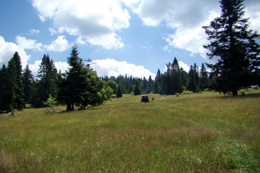 Bukovec a Vysoký vŕšok zo Švedlára (Volovské vrchy)