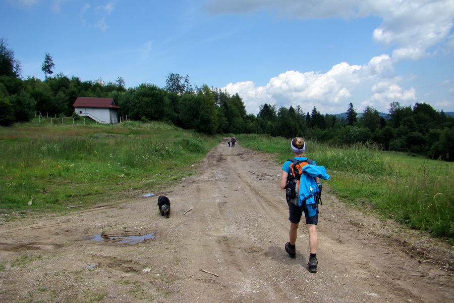 Bukovec a Vysoký vŕšok zo Švedlára (Volovské vrchy)