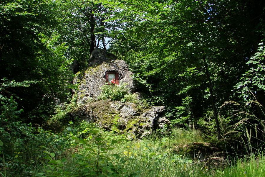 Bukovec a Vysoký vŕšok zo Švedlára (Volovské vrchy)