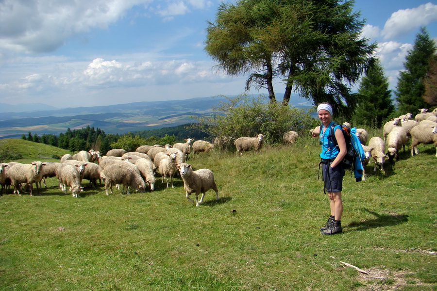 Bukovec a Vysoký vŕšok zo Švedlára (Volovské vrchy)